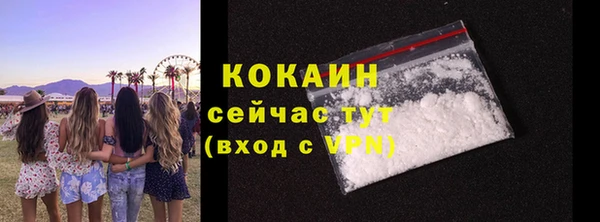 трава Аркадак