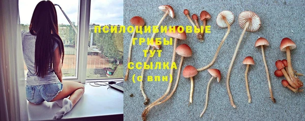 МДМА Арсеньев