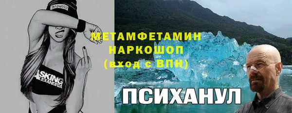 трава Аркадак